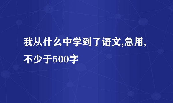 我从什么中学到了语文,急用,不少于500字