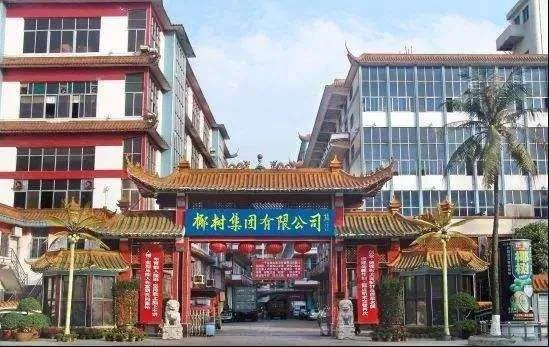 椰树要求应聘者抵押房产终身服务，他们的行为合理合法吗？