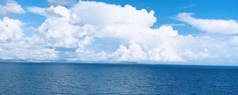 国外一男子与狗在海上漂流3个月 在墨西哥幸运获救