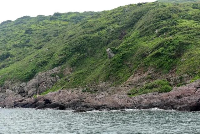 惠州惠东港口镇好不好玩，听说有很多海鲜？