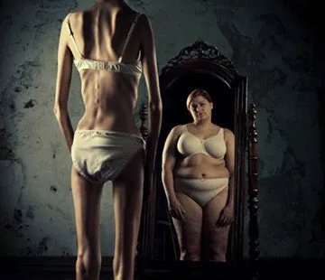 斯卡林王国的王国成员