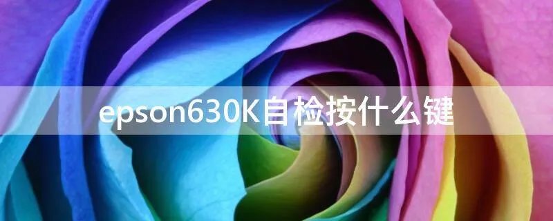 epson630K自检按什么键
