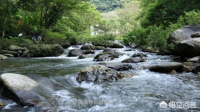 从化位于广东哪里？
