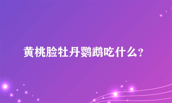 黄桃脸牡丹鹦鹉吃什么？