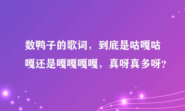 数鸭子的歌词，到底是咕嘎咕嘎还是嘎嘎嘎嘎，真呀真多呀？
