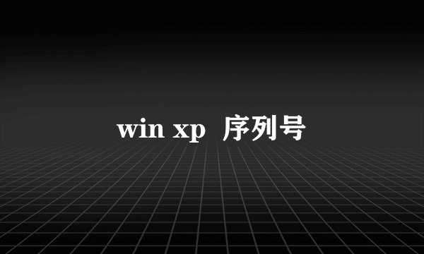 win xp  序列号