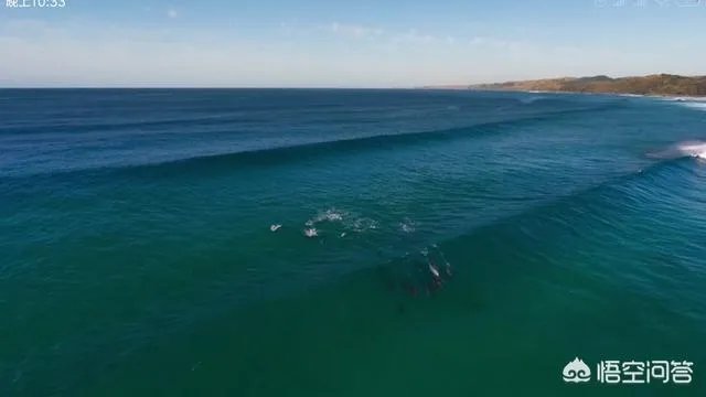 《蓝色星球第二季》里海豚游泳是不是类似于裸眼3d？
