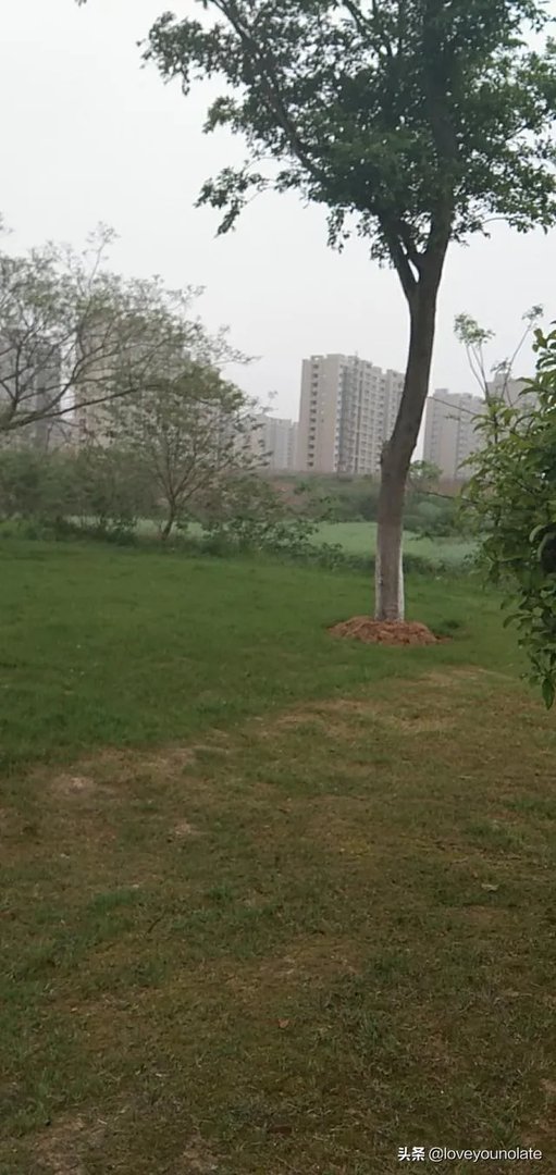 在家呆着好无聊昂,做些什么可以让一个人变得充实些?