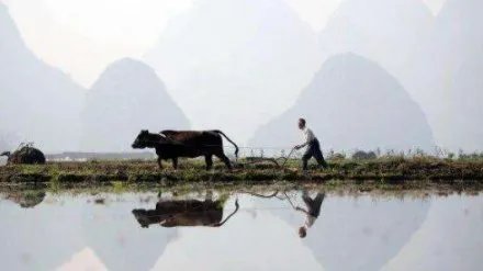 王福重说农民没有贡献,出大力流大汗是种懒惰和愚蠢,你怎么看?