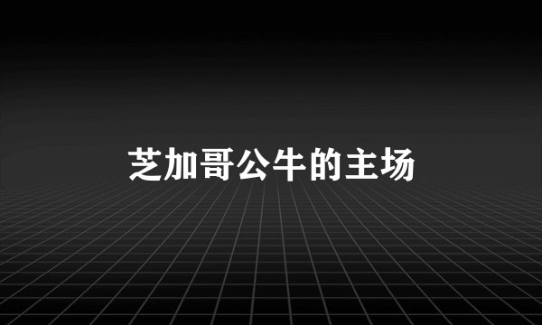 芝加哥公牛的主场