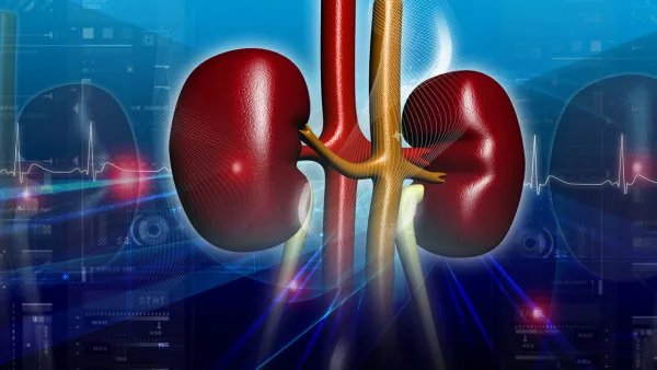 肾虚食疗吃什么