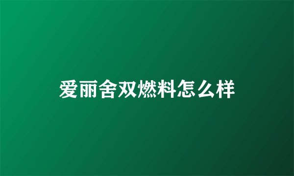 爱丽舍双燃料怎么样