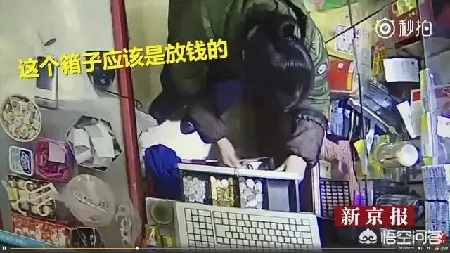 一名女子七年偷52万
