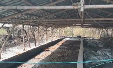 景德镇一养猪场大批死猪致污染,当地采取了什么举措?