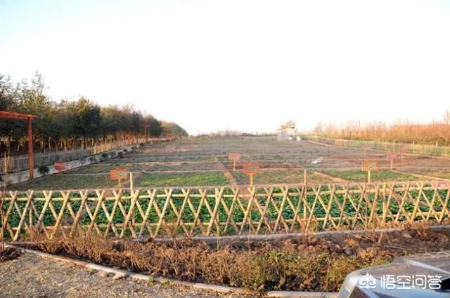 现实版开心农场经营要点是什么？