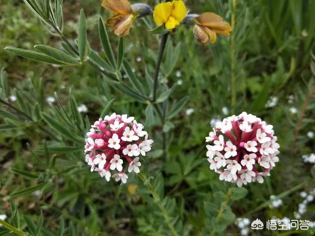 八九月份适合去哪里旅游？