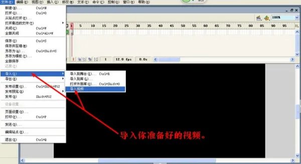 怎么用一个视频做成flash动画