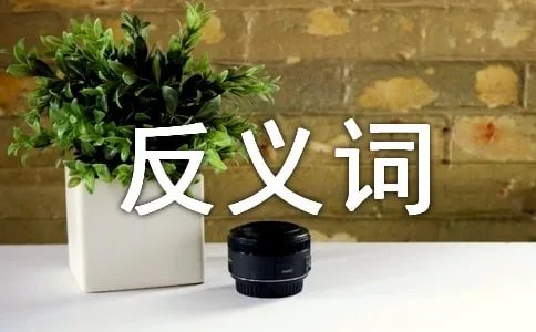 浓稠的反义词是什么