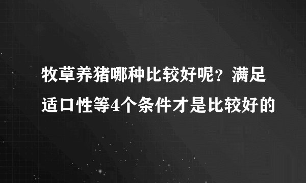 牧草养猪哪种比较好呢？满足适口性等4个条件才是比较好的
