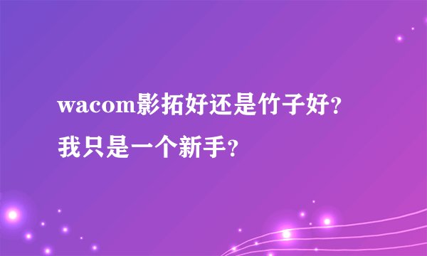 wacom影拓好还是竹子好？我只是一个新手？