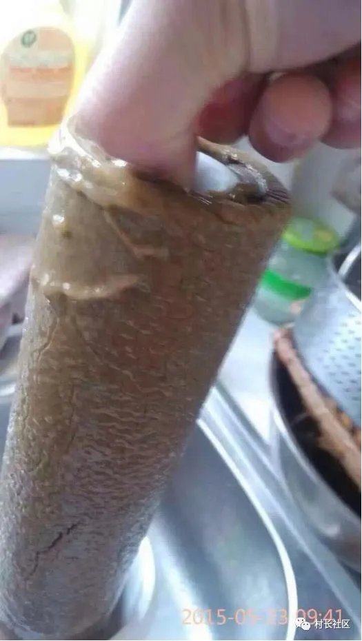 自来水不敢直接喝的举手！