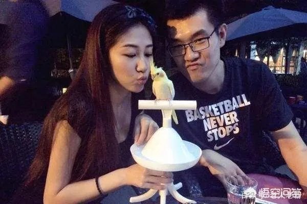 王仕鹏最近为什么没有消息了？