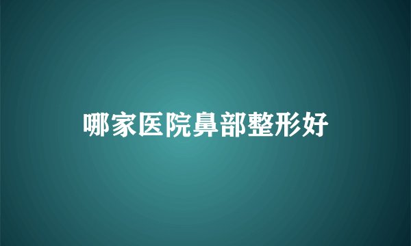 哪家医院鼻部整形好