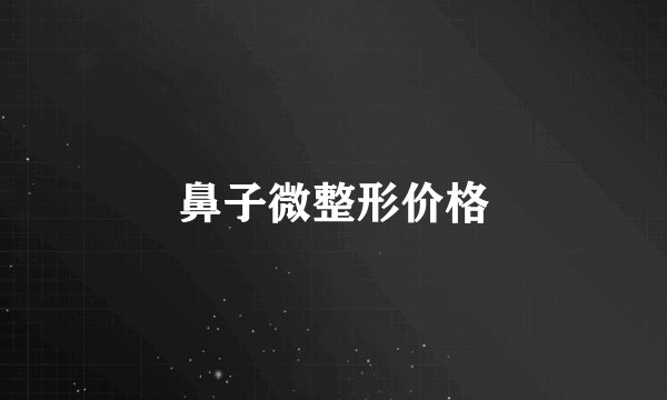 鼻子微整形价格