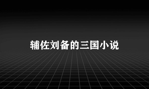 辅佐刘备的三国小说