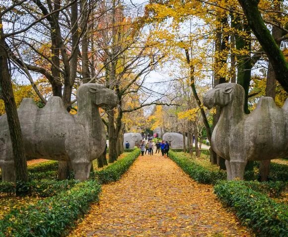金陵是哪个城市 被称为金陵的城市是哪个