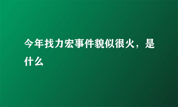今年找力宏事件貌似很火，是什么
