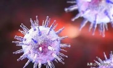 值得警惕：美国的新冠病毒究竟隐瞒了多久？