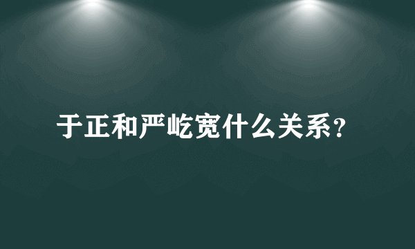 于正和严屹宽什么关系？