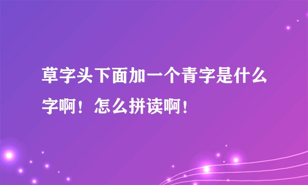 草字头下面加一个青字是什么字啊！怎么拼读啊！