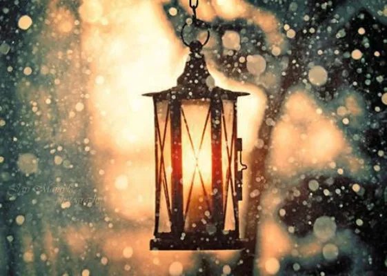 都市之万神战尊秦天林熙媛 都市之万神战尊全文阅读