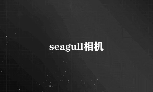 seagull相机
