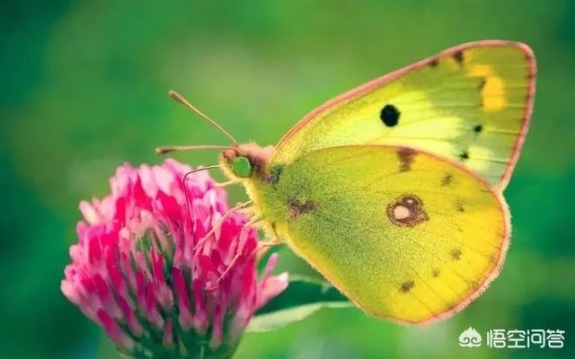 你有哪些喜欢的句子想要分享吗？