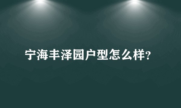 宁海丰泽园户型怎么样？