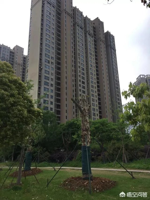 2018年三四线城市房价又涨，是不是要出手买房？