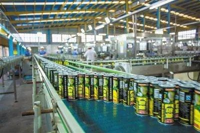 椰树要求应聘者抵押房产终身服务，他们的行为合理合法吗？