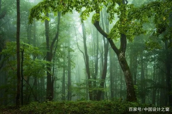 新风系统有什么优点啊，与空气净化器有什么区别啊