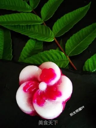 莲蓉花朵和果子