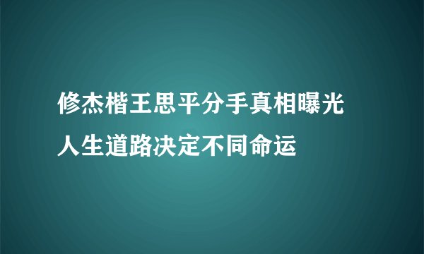 修杰楷王思平分手真相曝光 人生道路决定不同命运