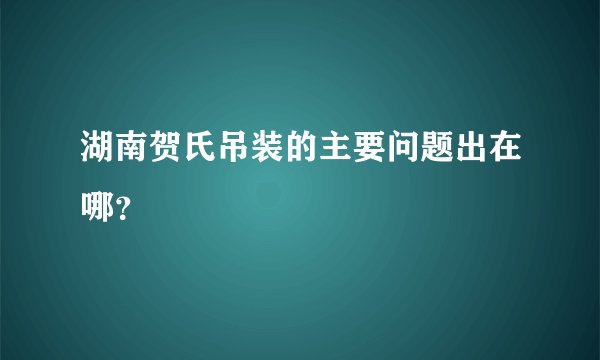 湖南贺氏吊装的主要问题出在哪？