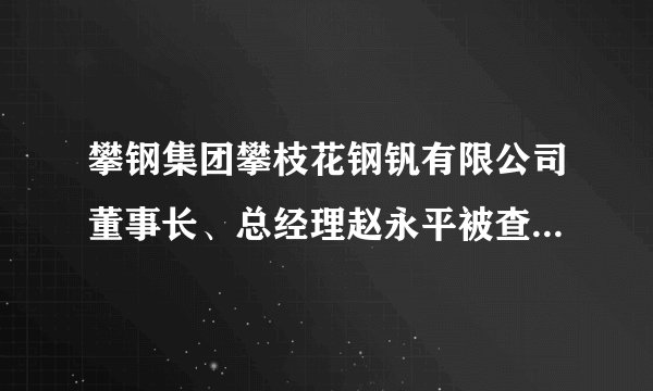 攀钢集团攀枝花钢钒有限公司董事长、总经理赵永平被查(图｜简历)