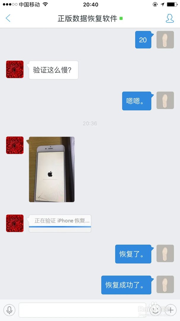 怎么修复白苹果