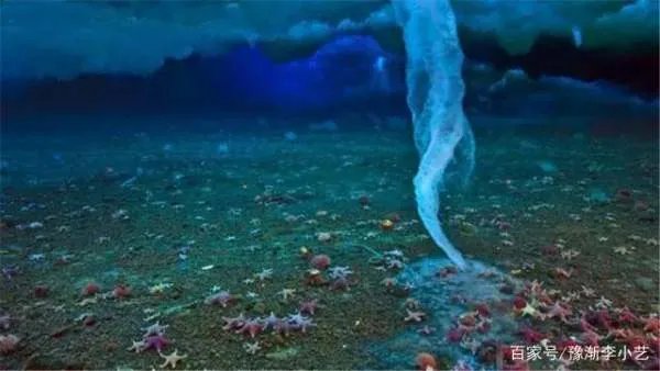 南极的死亡冰柱是什么？为何会杀死很多生物？