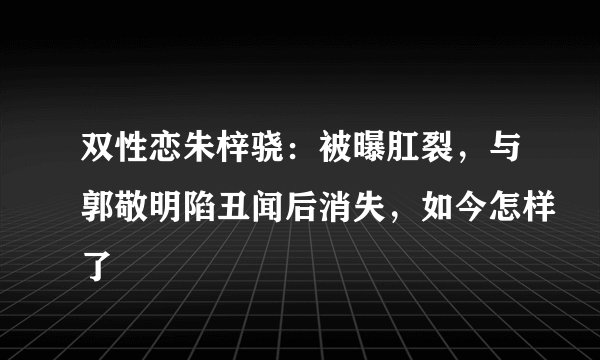 双性恋朱梓骁：被曝肛裂，与郭敬明陷丑闻后消失，如今怎样了