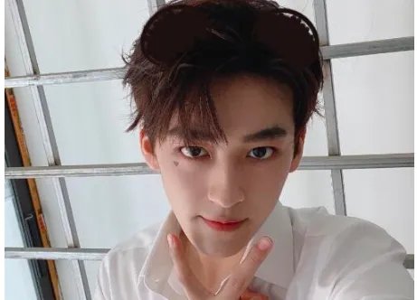 何洛洛为使用盗版软件道歉说了什么？