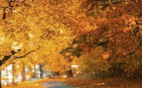 清远阳山贤令山风景区 -资料